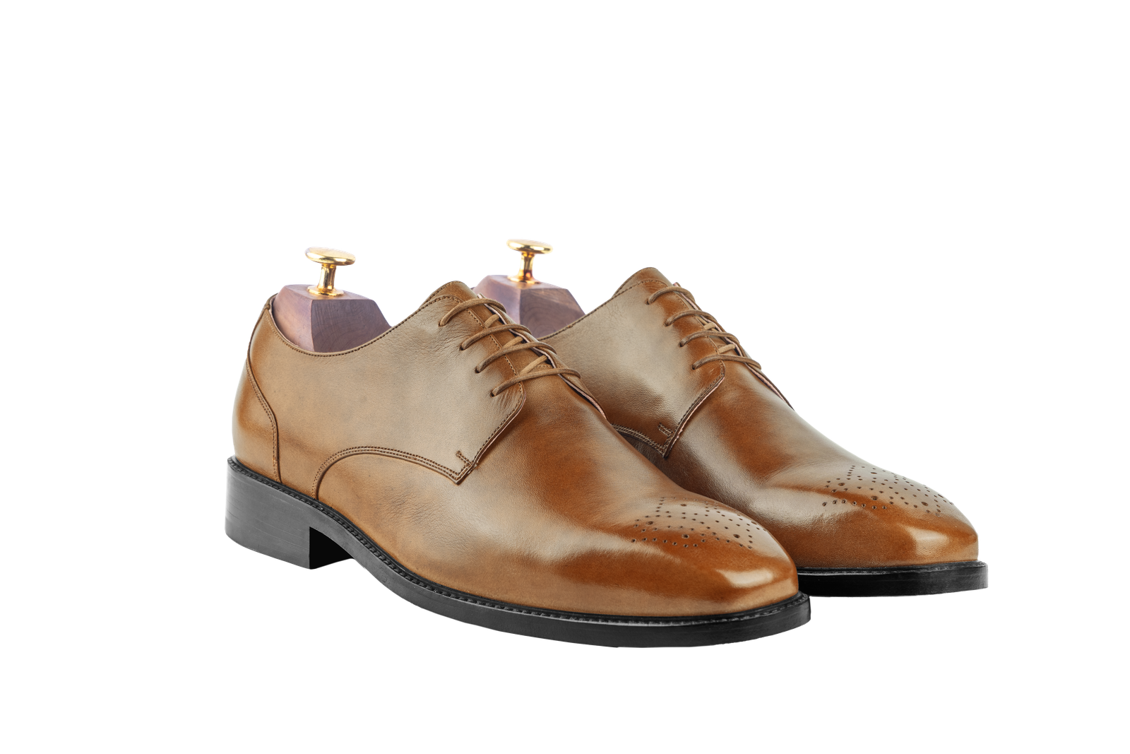 Tan colour for The Danube (Full Brogue) (Lagos Last)
