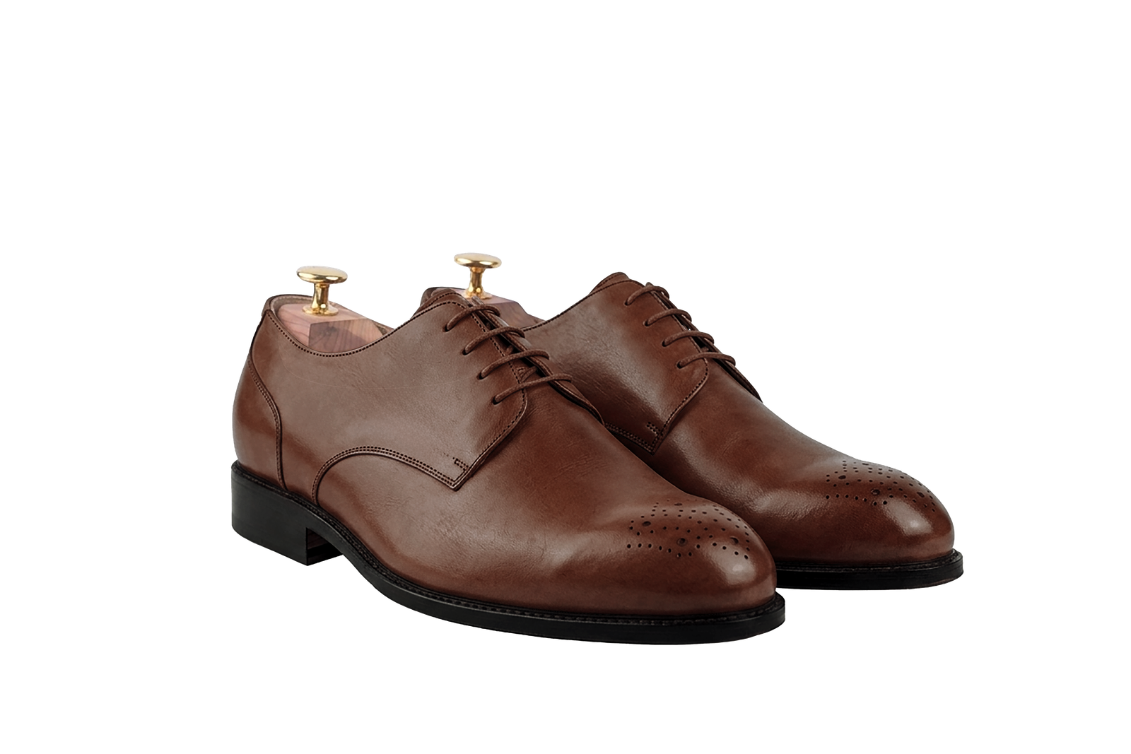 Dark Brown colour for The Danube (Full Brogue) (Seoul Last)
