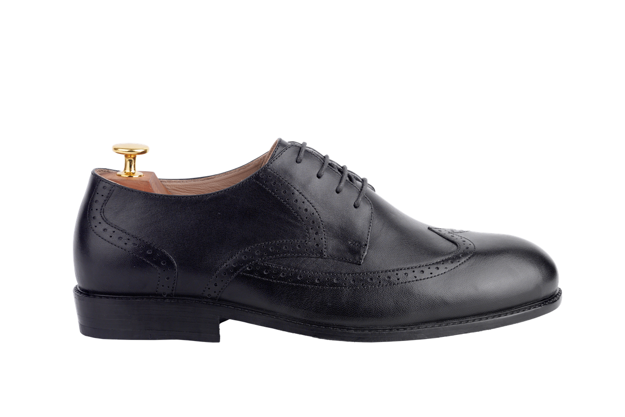 Model 27 - Derby Wingtip Half-Brogue (Seoul Last) 2