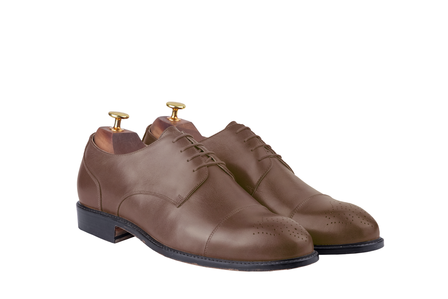 The Bosphorus (Full Brogue) (Jaipur Last)