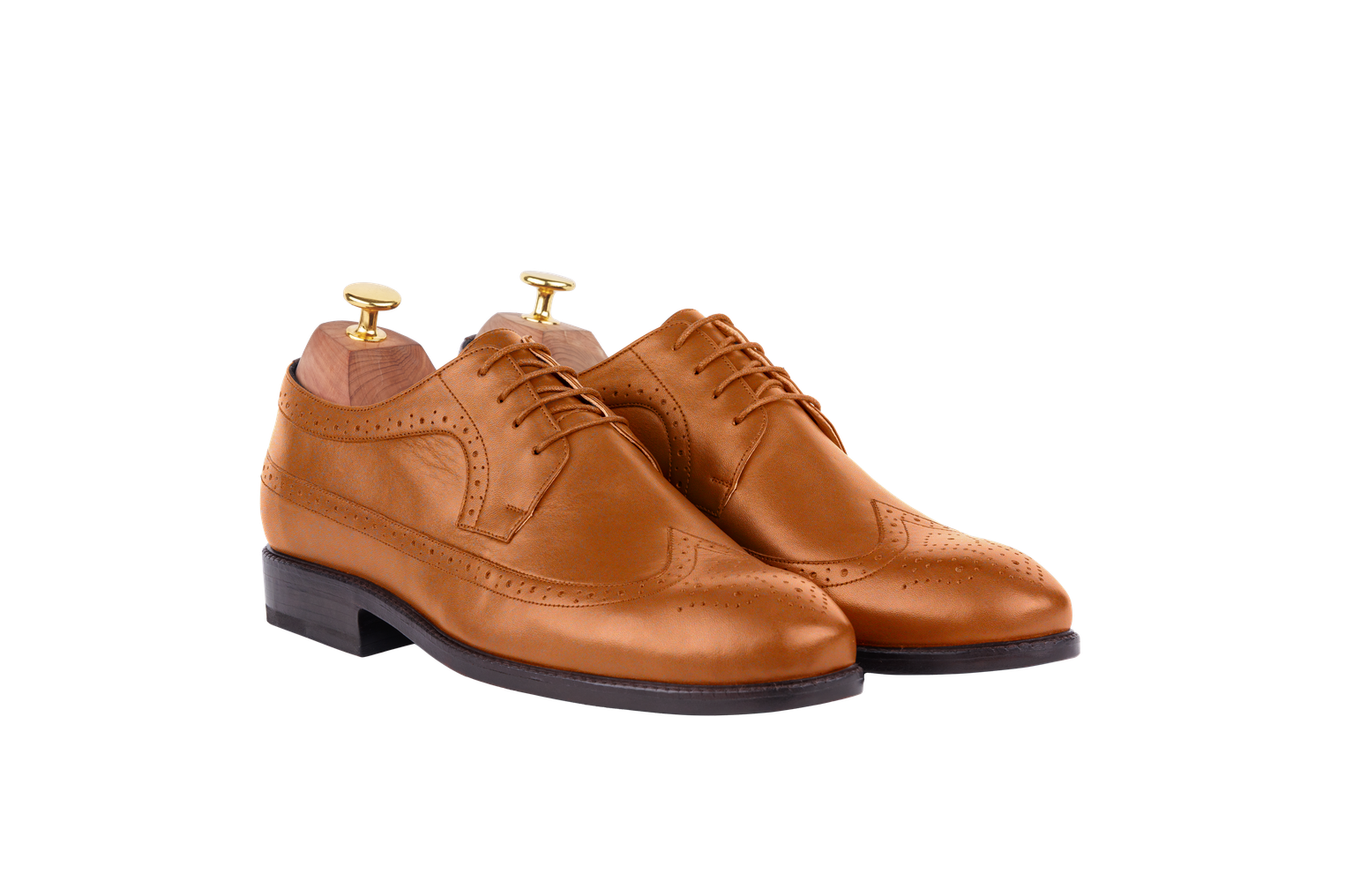 Model 31 - Derby Wingtip Full-Brogue (Jaipur Last) 6